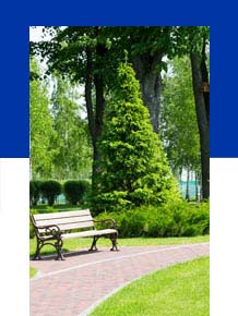 Cimule AI marketing for parks and recreation businesses